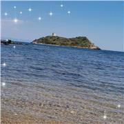 Laureata in giurisprudenza impartisce lezioni di diritto e lezioni ai bambini scuole elementari